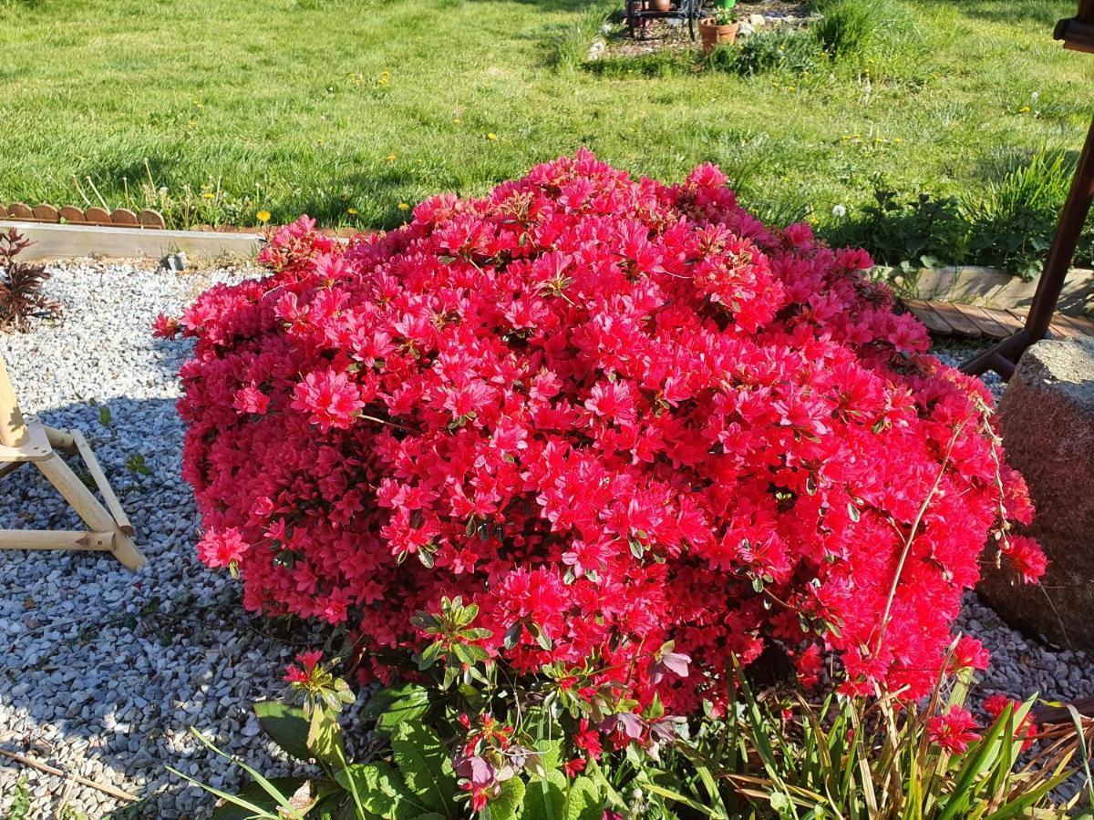 Couloumine Breizh Bed and Breakfast Saint-Aignan  Buitenkant foto