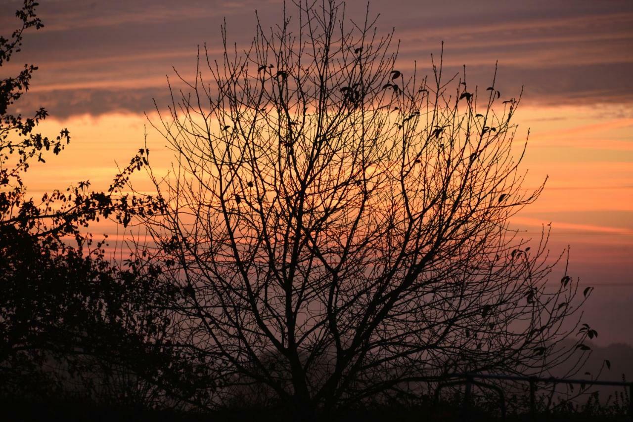 Couloumine Breizh Bed and Breakfast Saint-Aignan  Buitenkant foto