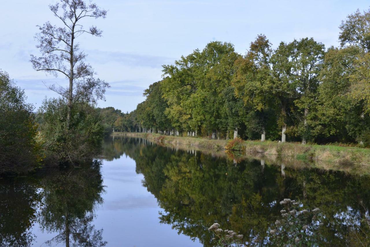 Couloumine Breizh Bed and Breakfast Saint-Aignan  Buitenkant foto